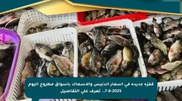 قفزة جديدة في أسعار الدنيس والأسماك بأسواق مطروح اليوم 7-8-2025.. تعرف على التفاصيل